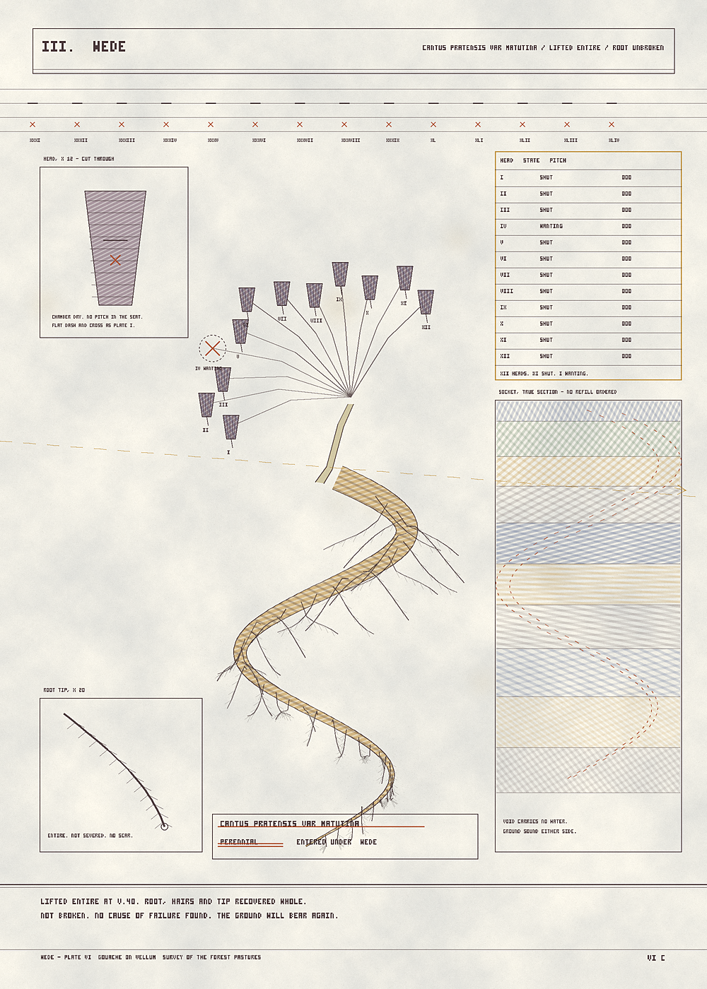 turn_006_b_01_c.png